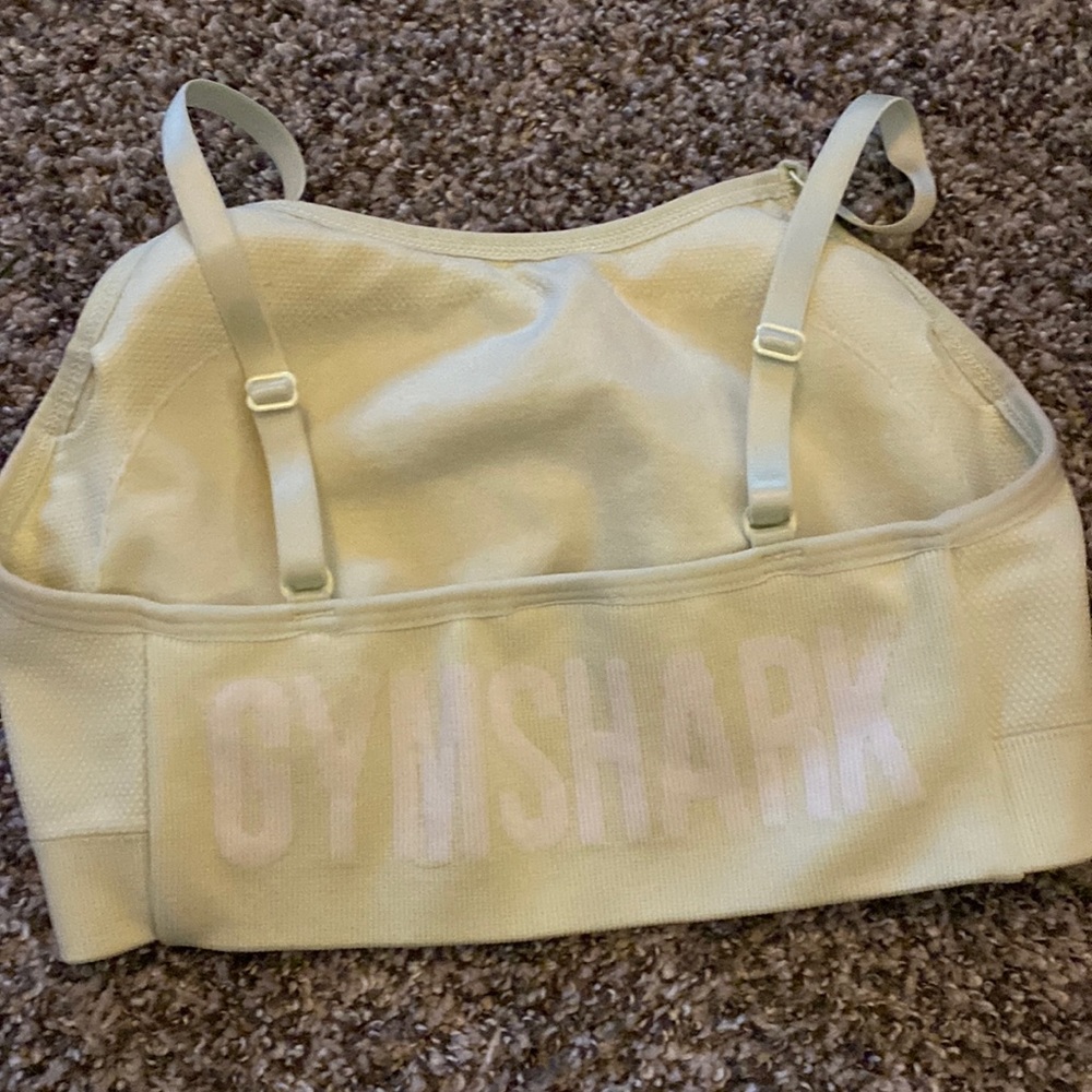 Gym shark sports bra